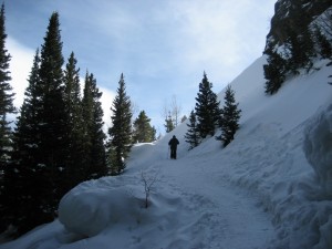 snowshoe trail uphill