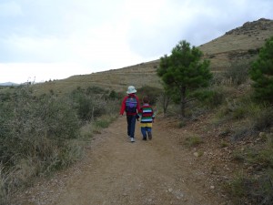 Descending Horsetooth Rock trail