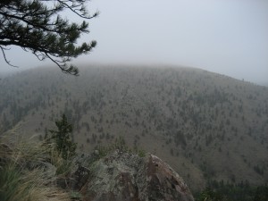 Hilltop in fog